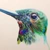 deepthi3d